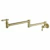 Buy 😉 Wellfor Group LLC Wellfor Wall Mount Pot Filler Kitchen Faucet, Brushed Gold ✨ -kitchen fixtures Shop 4331319501d536b6 1267 w800 h800 b1 p0