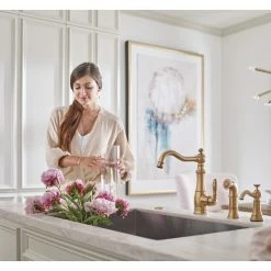 Wholesale π Moen Sip Traditional Brushed Gold One-Handle Beverage Faucet π― 10 Wholesale π Moen Sip Traditional Brushed Gold One-Handle Beverage Faucet π― -kitchen fixtures Shop 49f1d7990d14c582 0539 w800 h800 b0 p0