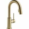 Coupon π Delta Faucet Delta Trinsic Single Handle Pull-Down Bar / Prep Faucet, Champagne Bronze π 1 Coupon π Delta Faucet Delta Trinsic Single Handle Pull-Down Bar / Prep Faucet, Champagne Bronze π -kitchen fixtures Shop 87a194200cbf4247 5452 w800 h800 b1 p0