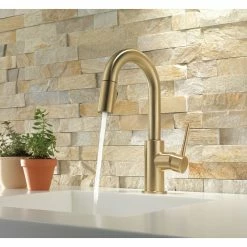 Coupon 🌟 Delta Faucet Delta Trinsic Single Handle Pull-Down Bar / Prep Faucet, Champagne Bronze 👏 -kitchen fixtures Shop a151a5580cbf424b 5452 w800 h800 b0 p0