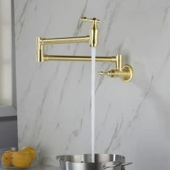 Buy 😉 Wellfor Group LLC Wellfor Wall Mount Pot Filler Kitchen Faucet, Brushed Gold ✨ -kitchen fixtures Shop c0a1537b01d536ab 1267 w800 h800 b0 p0