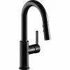 Top 10 🛒 Elkay Avado 1.8 GPM Pullout Spray 1 Hole Bar Faucet Matte Black, LKAV3032MB ⭐ -kitchen fixtures Shop dfb1f9c10f313ca0 3870 w800 h800 b1 p0